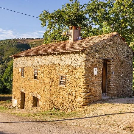 Casa Da Corrica - Alojamento Local Negreda Eksteriør billede