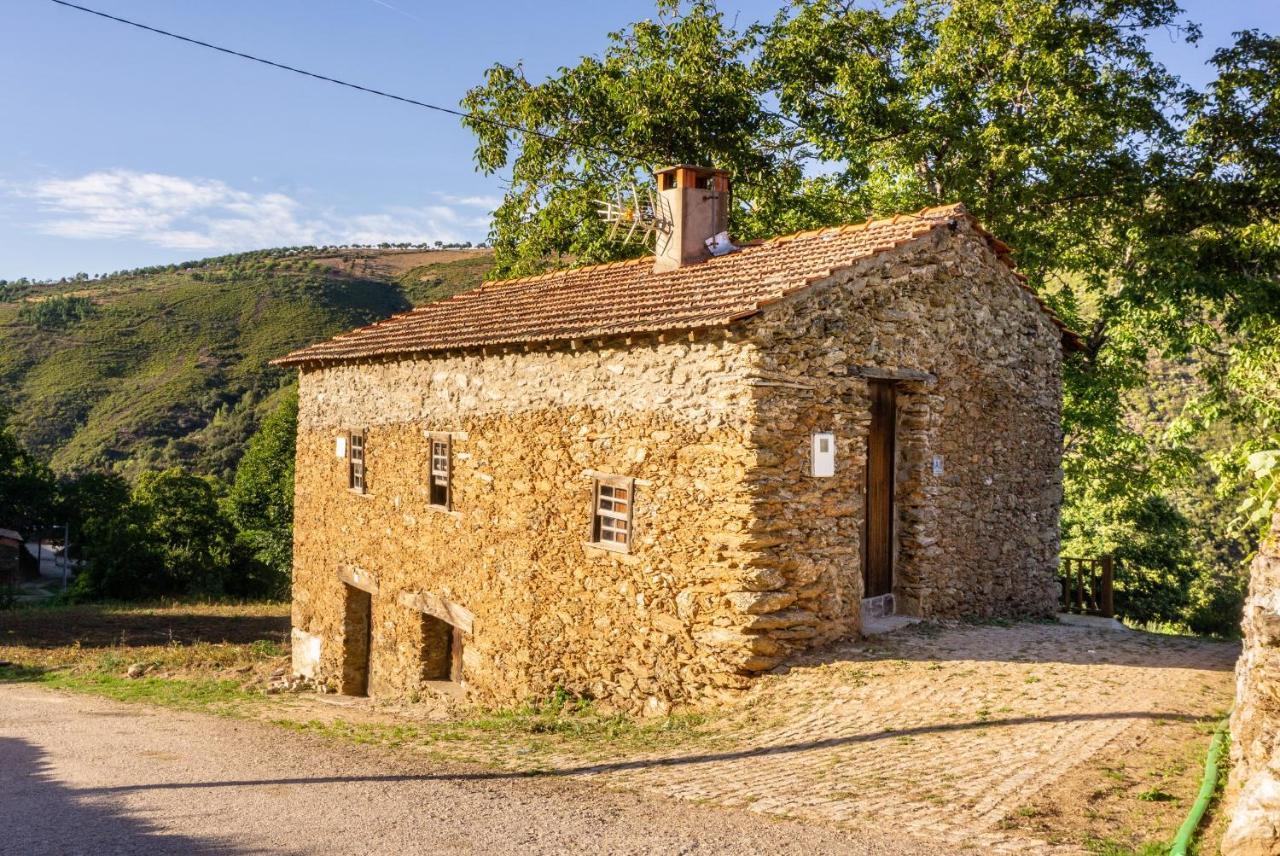 Casa Da Corrica - Alojamento Local Negreda Eksteriør billede
